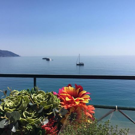 Cinqueterreblu Lungomarenostro Lägenhet Monterosso al Mare Exteriör bild